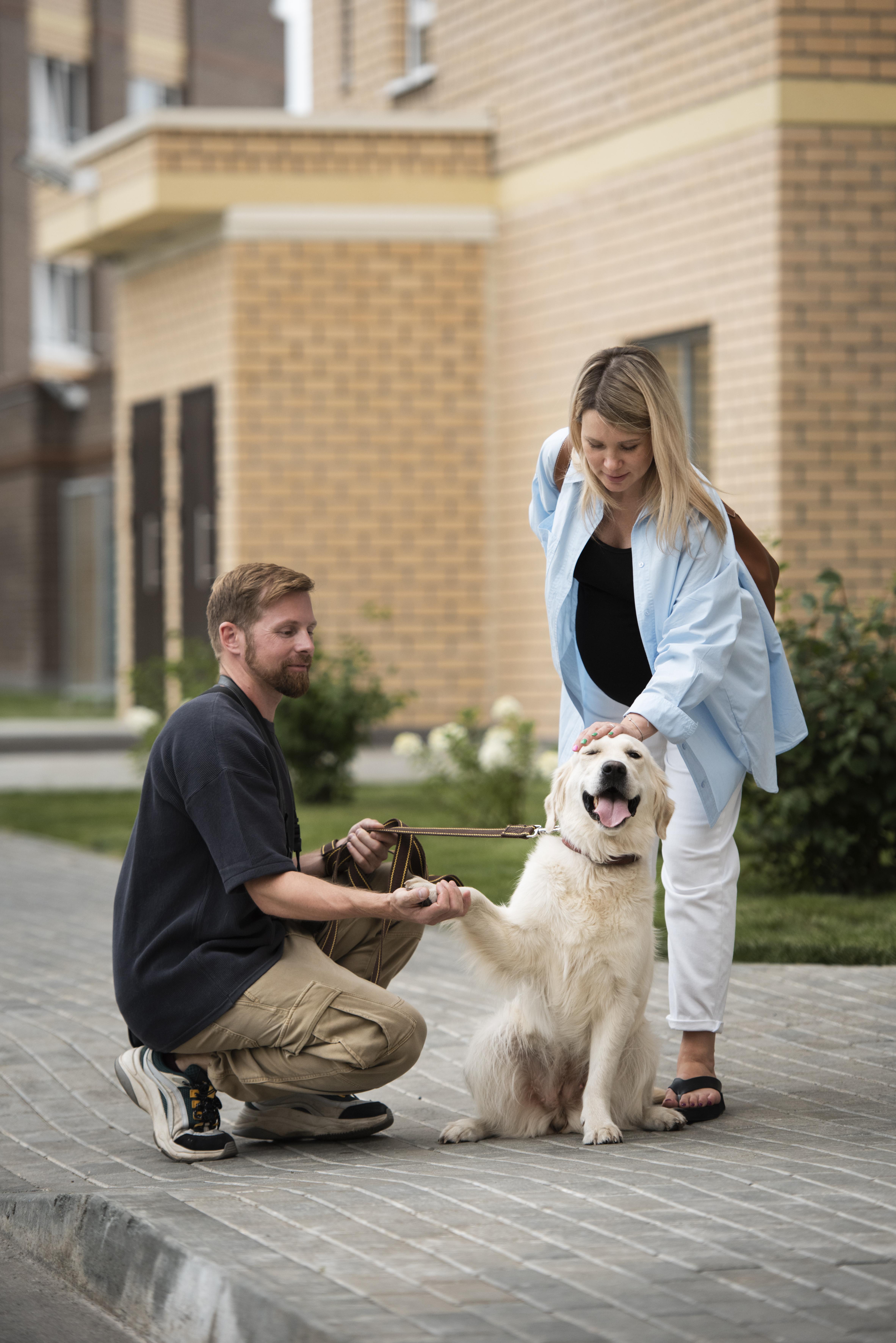 Best Tips For Finding Pet Friendly Apartments In Your City