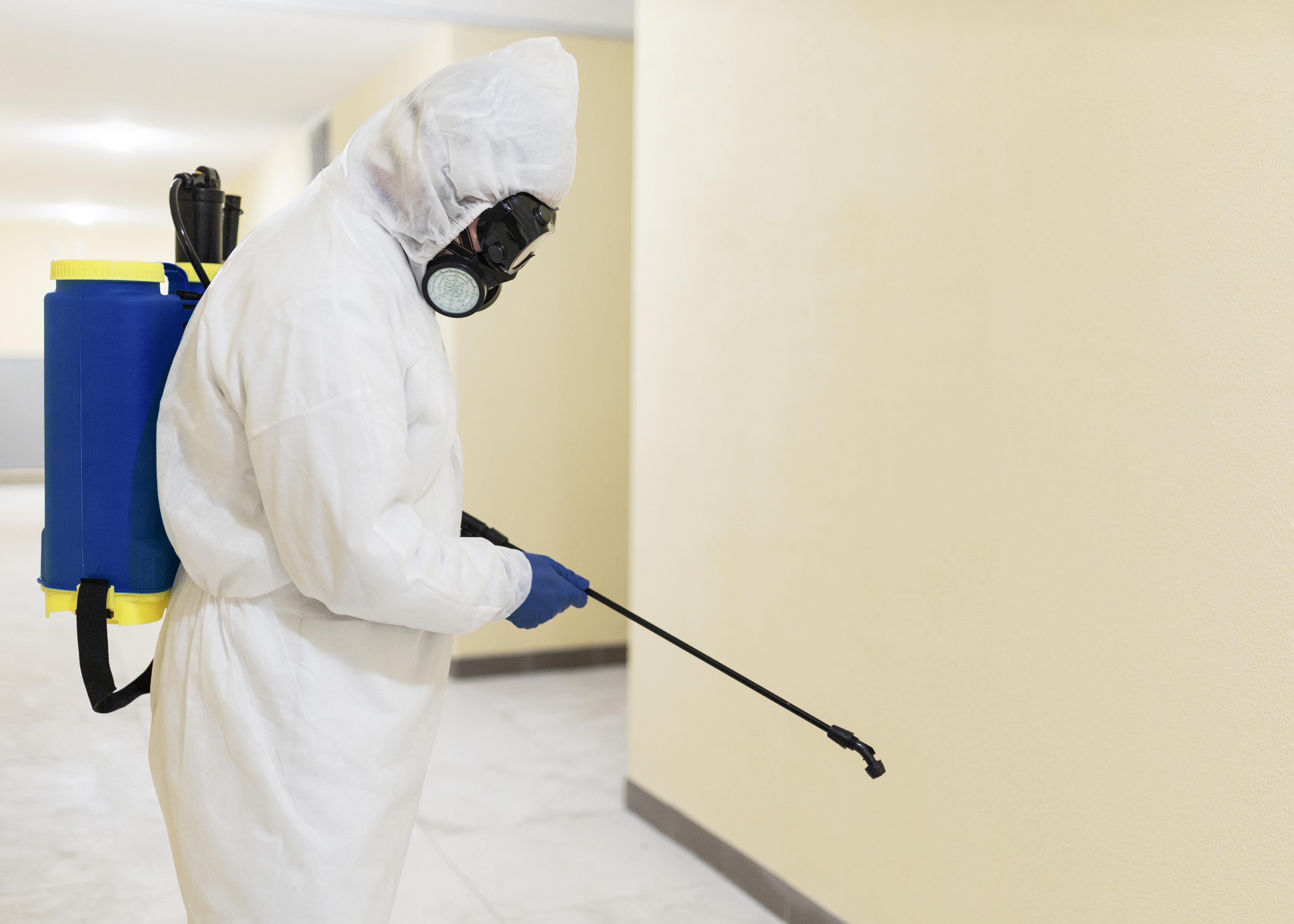 Effective Pest Control Services In Indianapolis To Protect Property