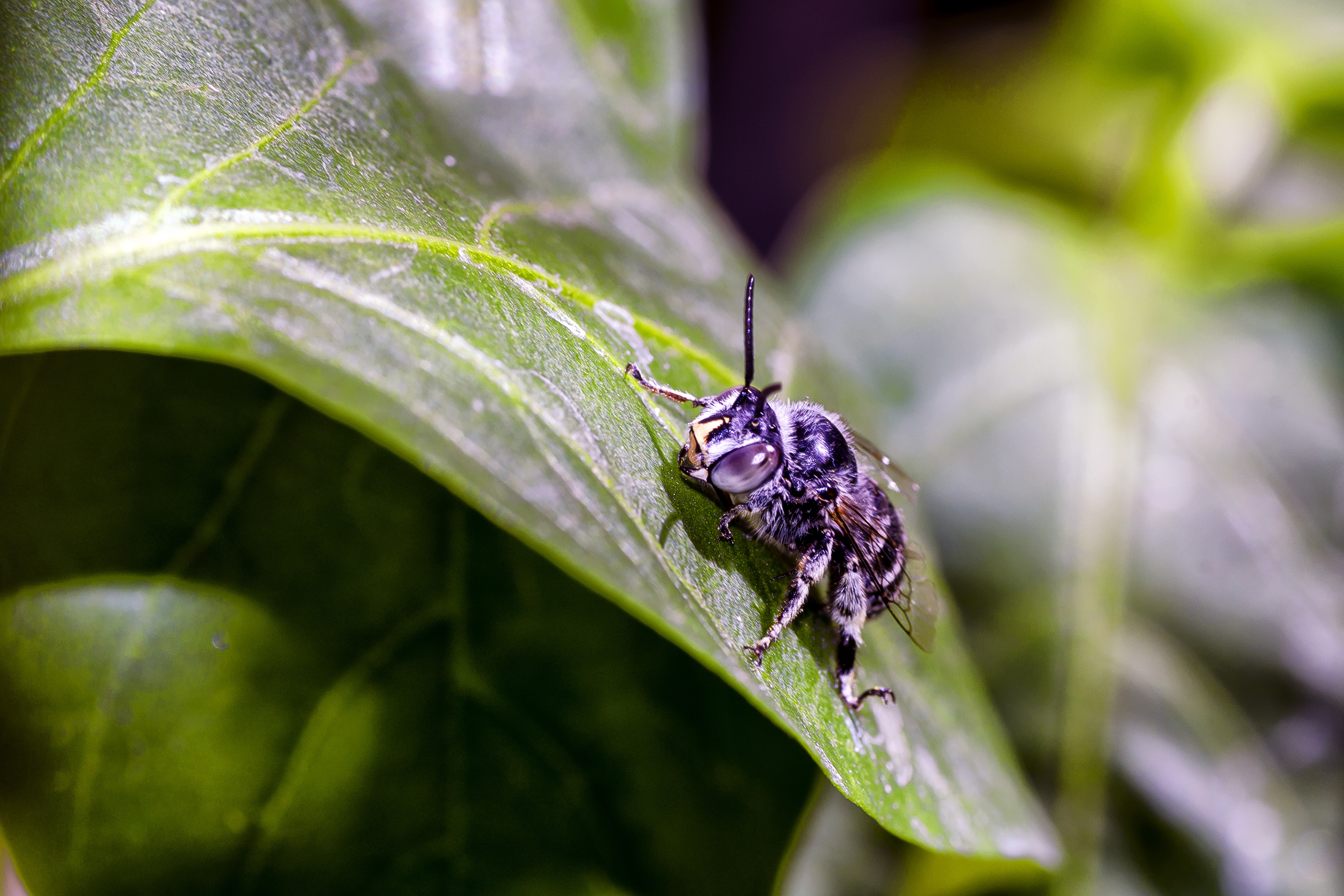 7 Signs You Need Professional Pest Control in Richmond, TX